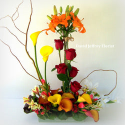 Autumn Garden
