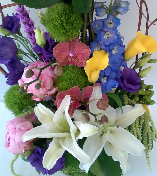 Blooming Spring Garden