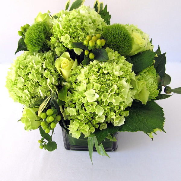 Lush Green Flower Cube Bouquets | David Jeffrey Florist