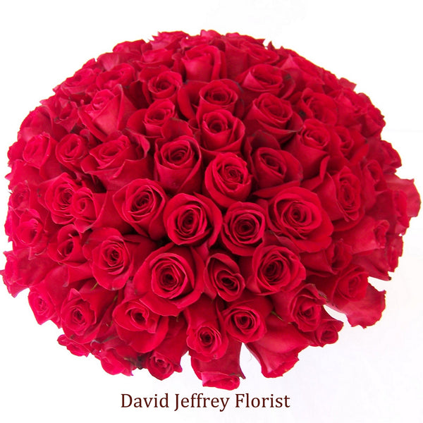 Red Rose Cluster