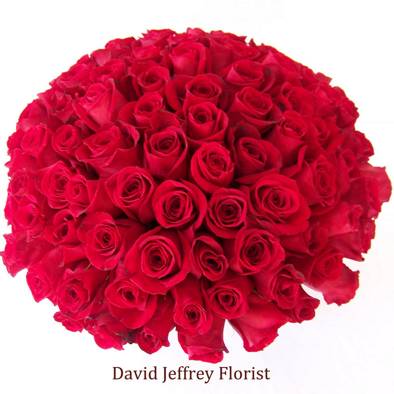 Red Rose Cluster