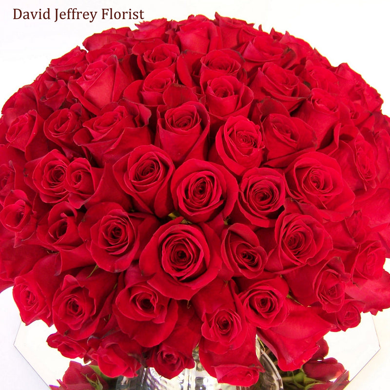 Red Rose Cluster