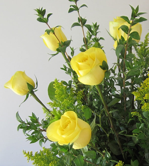 Roses - Yellow
