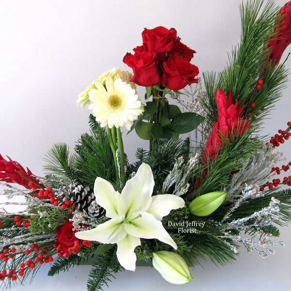 Christmas Garden