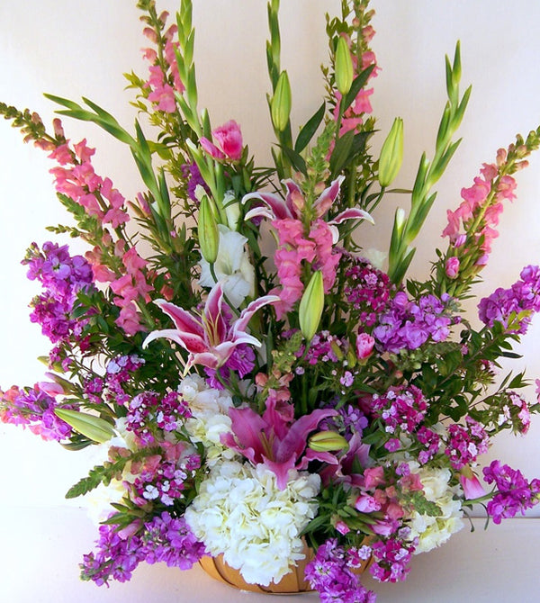 David Jeffrey's Pink Splendor