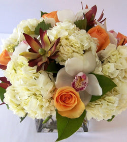 Lovely Cluster