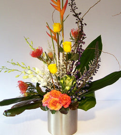 Modern Spring